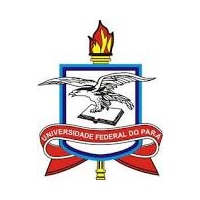 留学声