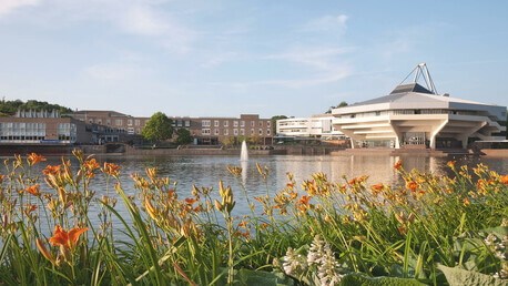 留学声
